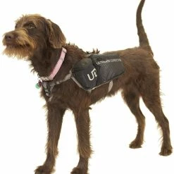 Ultimate Direction Dog Vest -Deals Kläder Butik 80469820 ALT06 Dog Vest 27491.1582131636