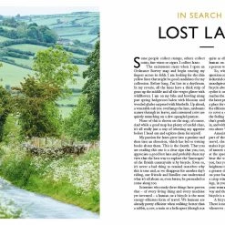 Wild Things Lost Lanes - North -Deals Kläder Butik Wild Things Lost Lanes North Books Neutral AW22 9781910636213 1