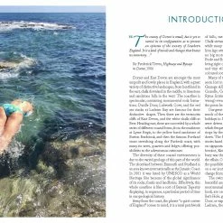 Wild Things Wild Swimming Walks - Dorest -Deals Kläder Butik Wild Things Wild Swimming Walks Dorest Books Neutral AW22 9781910636329 2